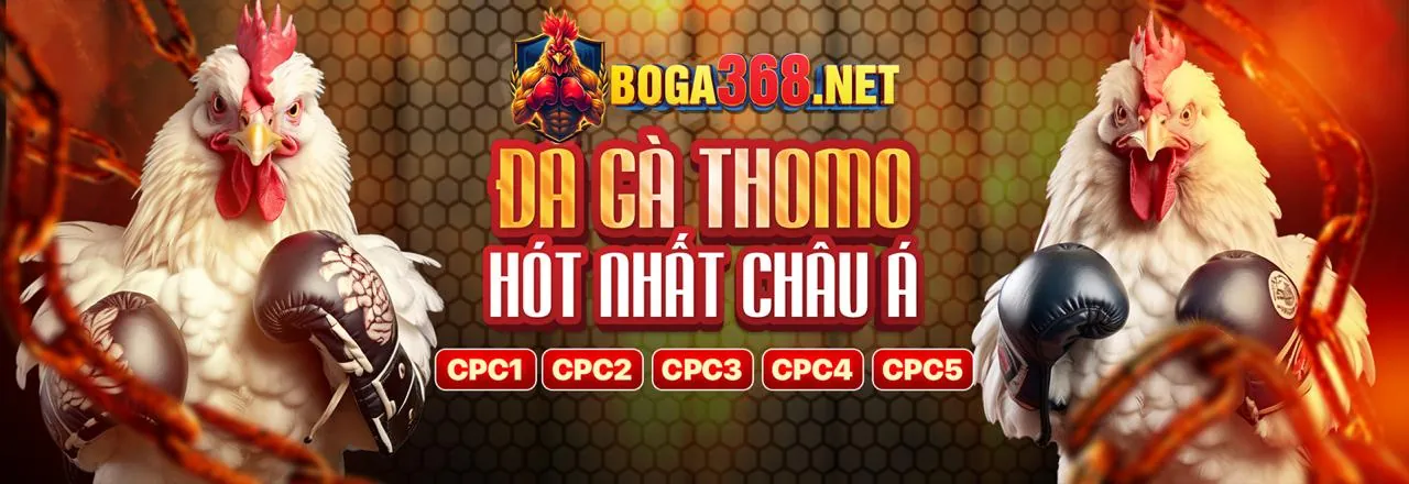 Tài liệu pháp lý minh bạch của các cổng game OKVIP