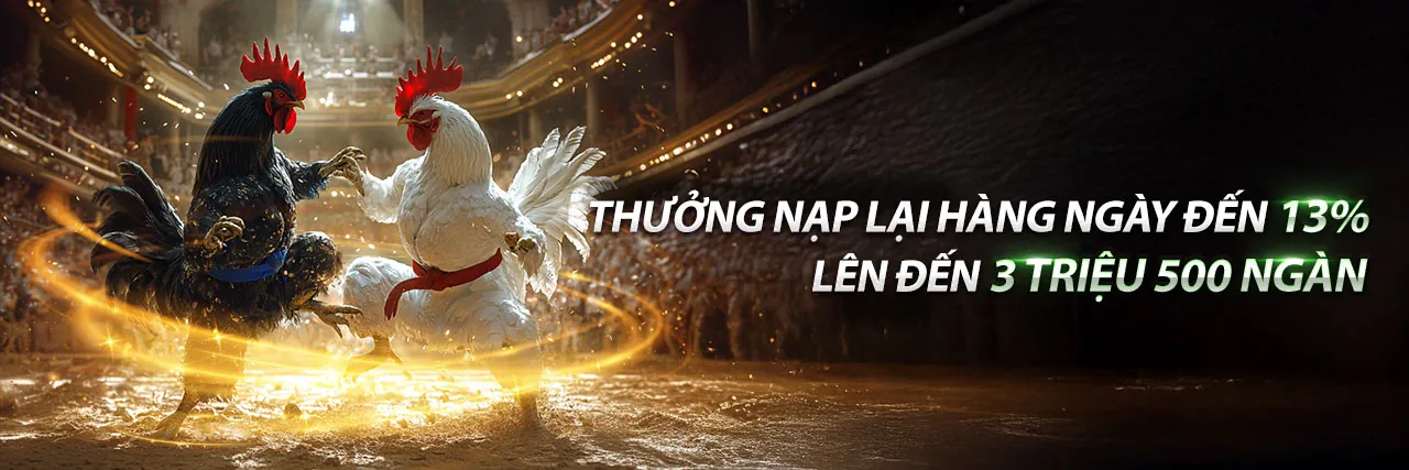 Ứng dụng OKVIP trên điện thoại, giao diện thân thiện